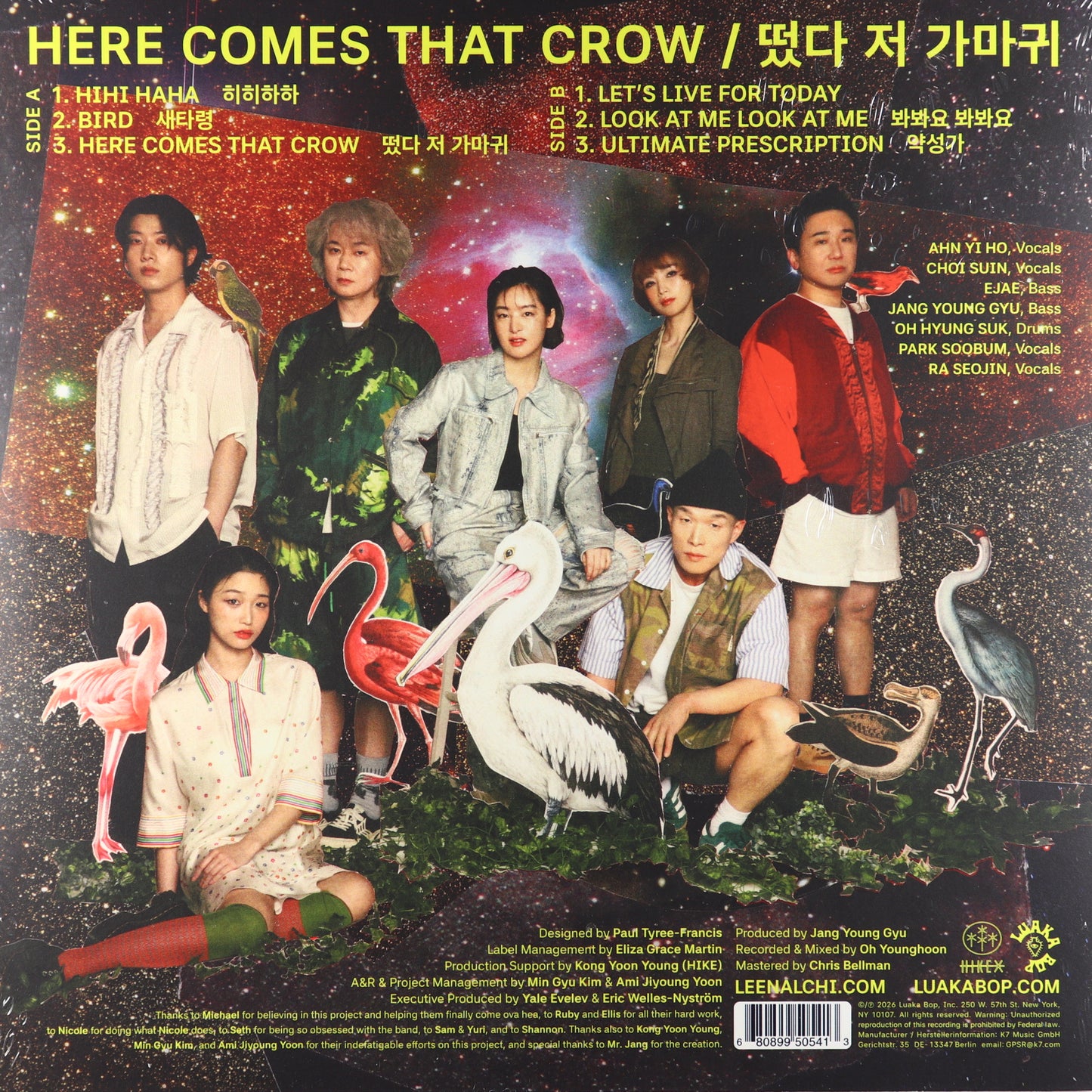 LEENALCHI-Here comes that crow