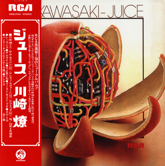 Ryo Kawasaki-Juice