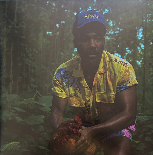 Childish Gambino-Bando Stone And The New World