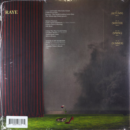 Raye-This Music May Contain Hope.