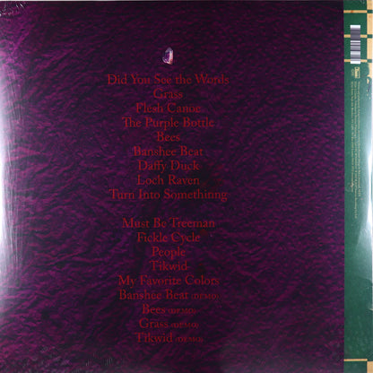 Animal Collective-Feels