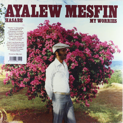 Ayalew Mesfin-Hasabe — My Worries