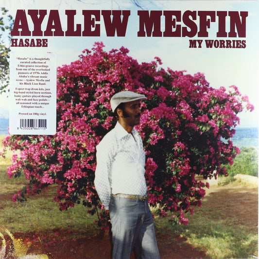 Ayalew Mesfin-Hasabe — My Worries