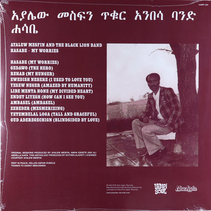 Ayalew Mesfin-Hasabe — My Worries