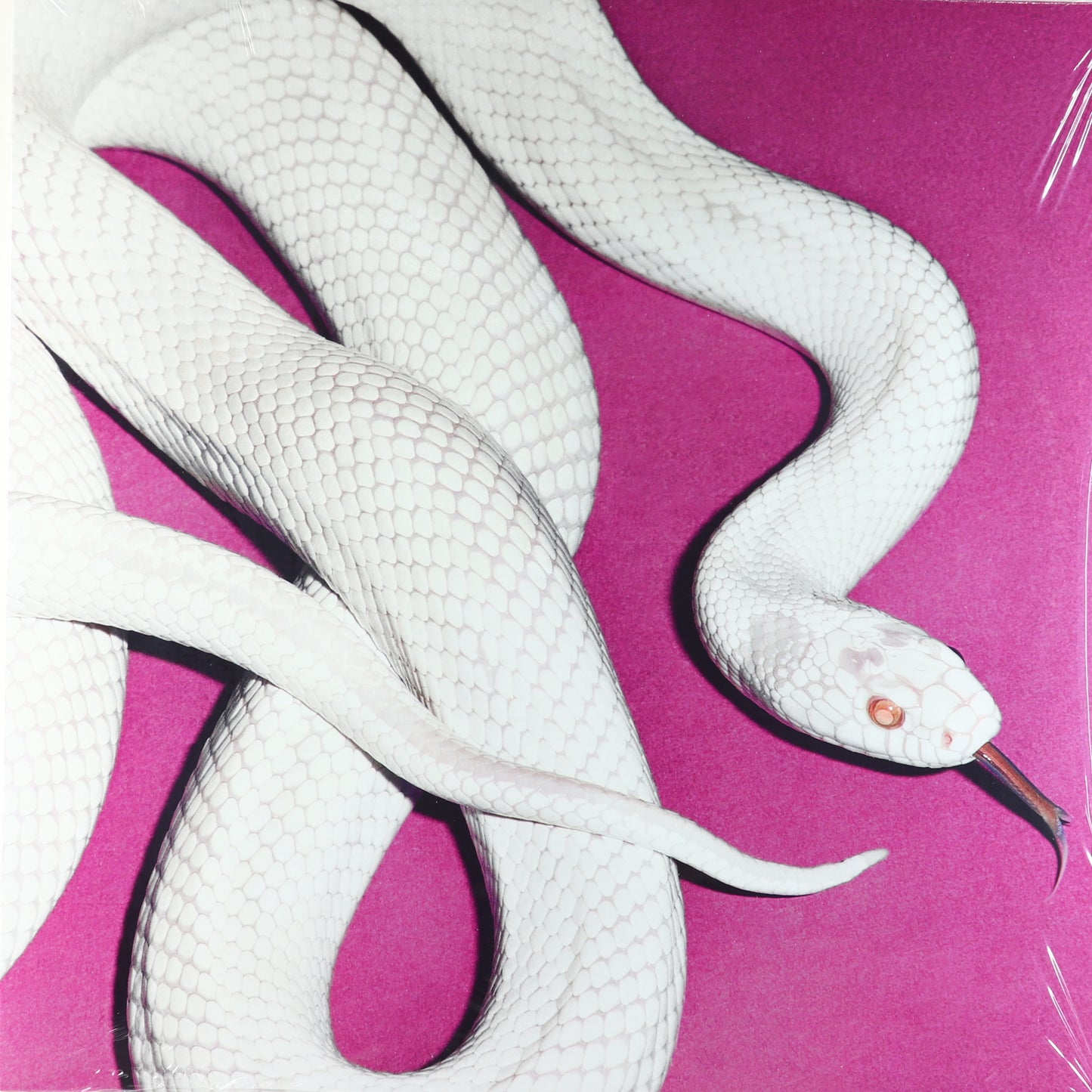 Deftones-Private Music