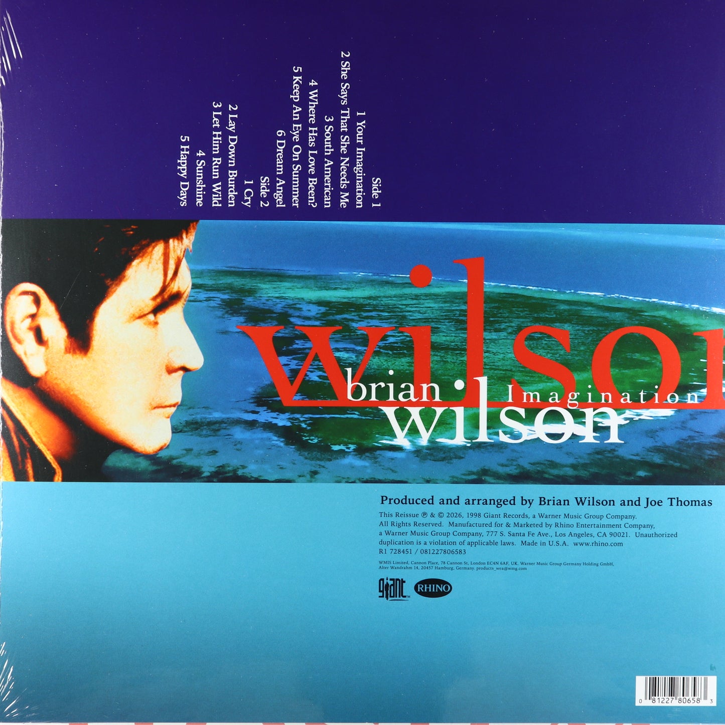 Brian Wilson-Imagination