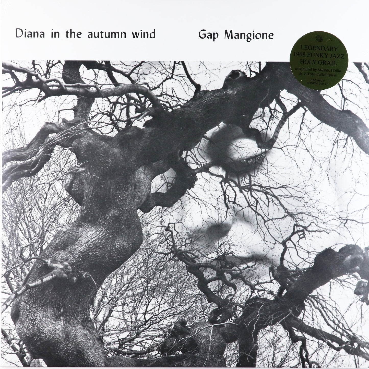 Gap Mangione-Diana In The Autumn Wind