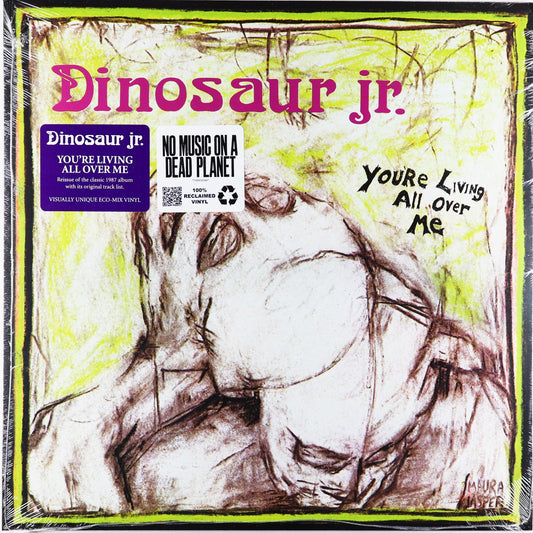 Dinosaur Jr-You're Living All Over Me