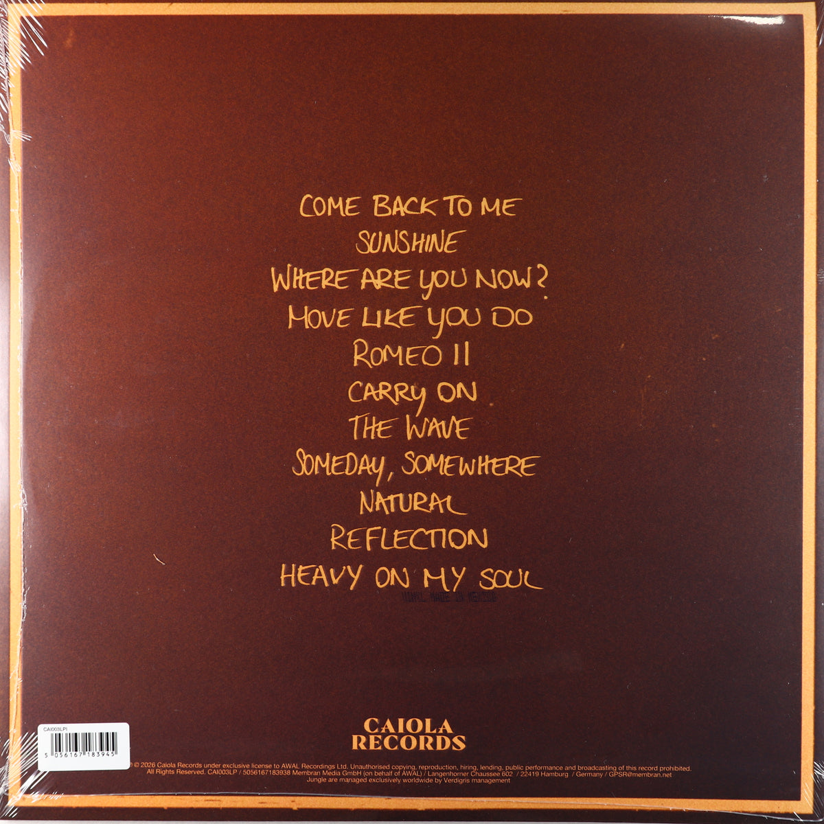 Jungle-Sunshine