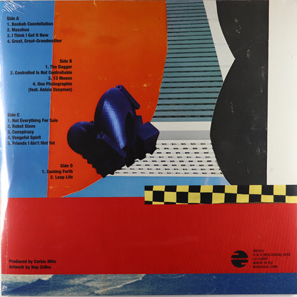 Saul Williams-Leap Life