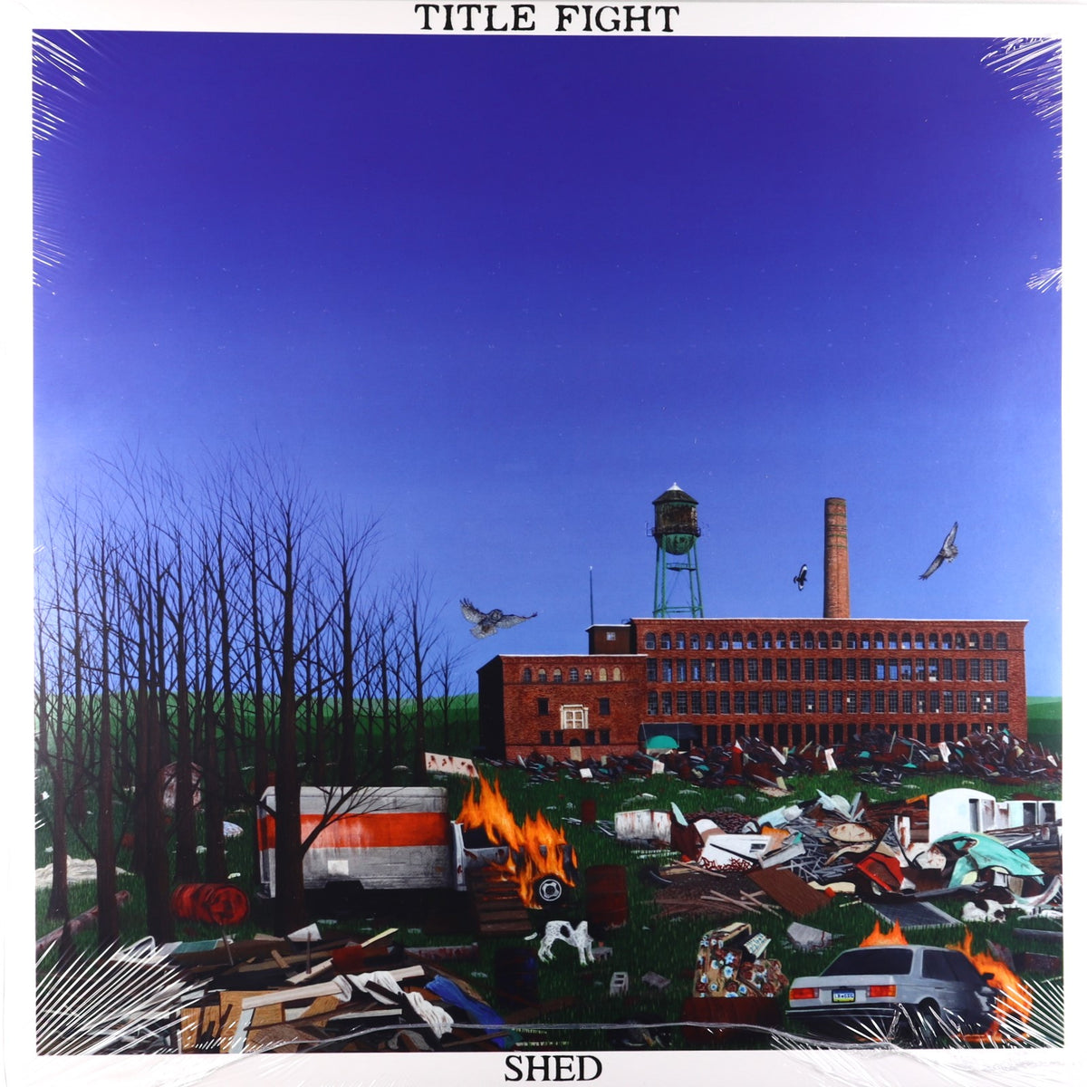 Title Fight-Shed
