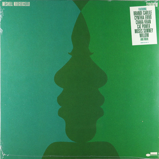 Meshell Ndegeocello-Synonym