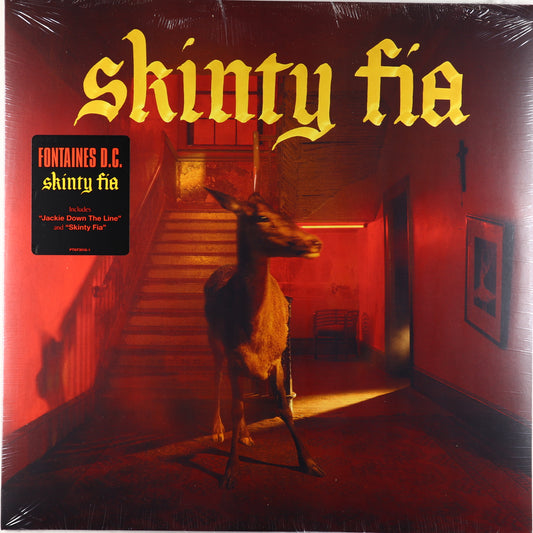 Fontaines D.C.-Skinty Fia