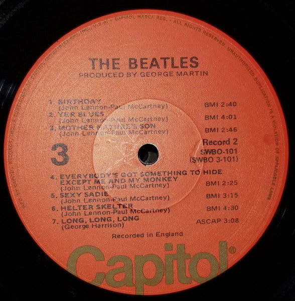 18448813