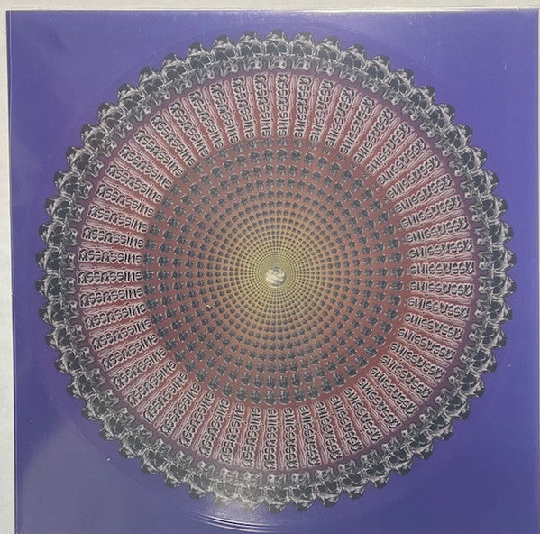 30069829