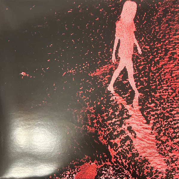 34038598
