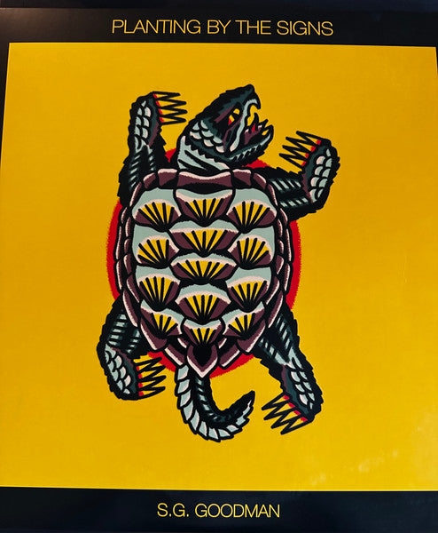 34380034