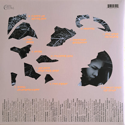 Mitski-The Land Is Inhospitable And So Are We