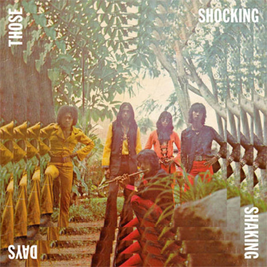 V/A-Those Shocking Shaking Days